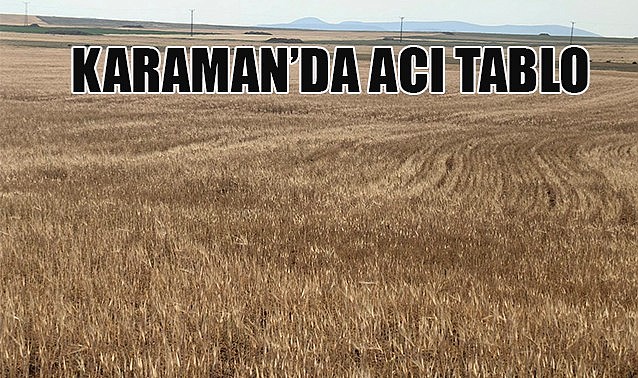 Karaman&#039;da acı tablo