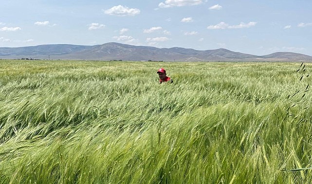 Karaman&#039;da kontroller tamam