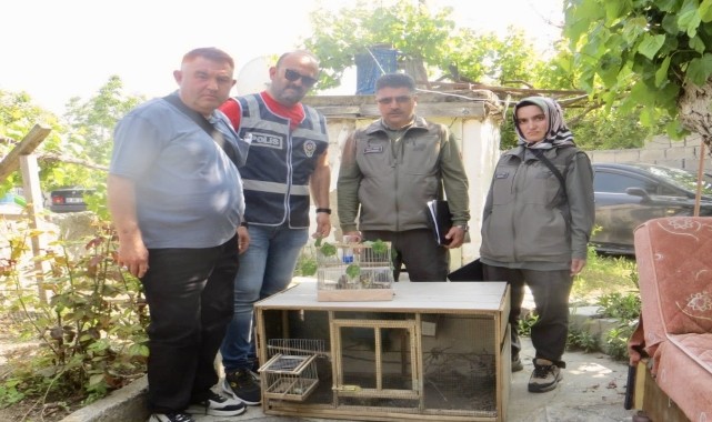 Kırşehir&#039;de evinde saka kuşu satan kişiye 77 bin 600 lira ceza kesildi