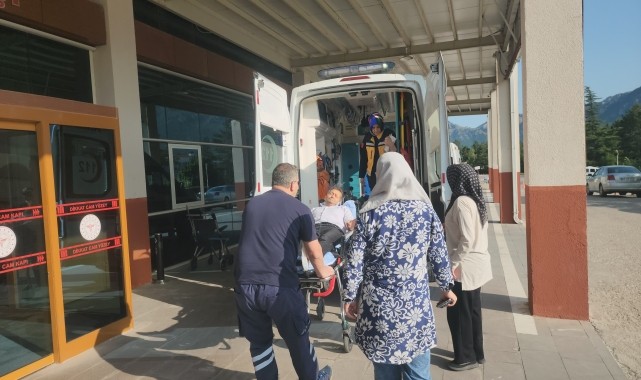 Konya&#039;da pikniğe giden kişiyi yılan ısırdı