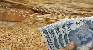 Makarnalık Buğdaya Rekor Zam! Bir Haftada 2 Bin 760 TL Zamlandı!