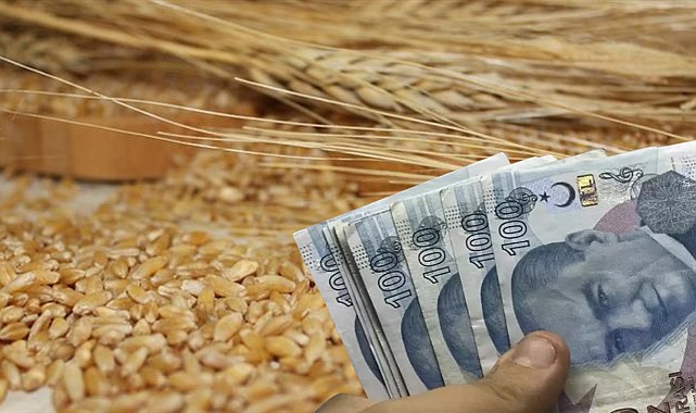 Makarnalık Buğdaya Rekor Zam! Bir Haftada 2 Bin 760 TL Zamlandı!
