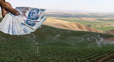 Sulu Tarla ve Ruhsatsız Ahırlar Satılıyor! 