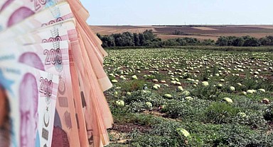 Tarlada 5 TL, Markette 15 TL!  