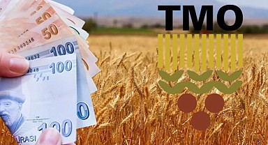 TMO Arpa ve Buğday Alımı Fiyat Listesi 2025! E-Devlet Başvuruları Başladı!  