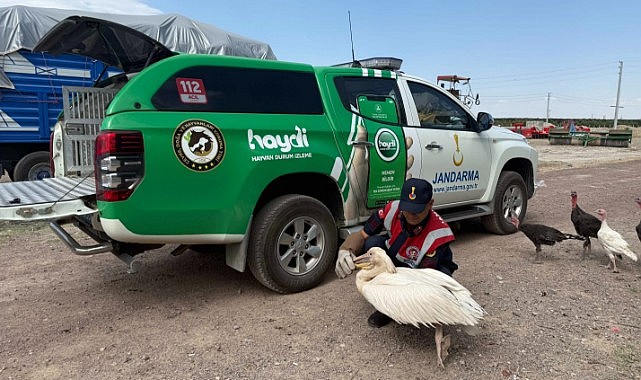 Yorgun kanatlar yeniden gökyüzünde