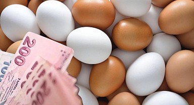 Yumurta Fiyatlarındaki Düşüş Sürüyor! Yüzde 11 Düştü! 