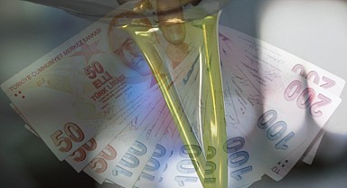 Zeytinyağı Fiyatlarına İndirim! 