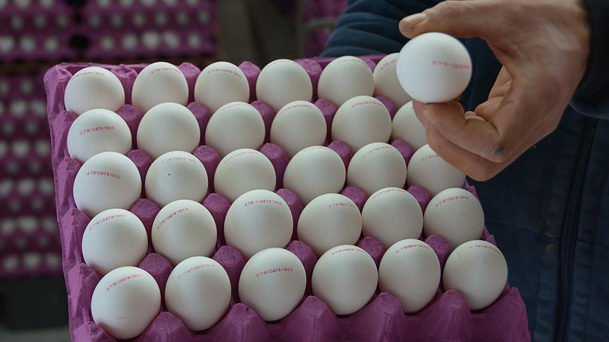 Yumurta satışında yeni dönem