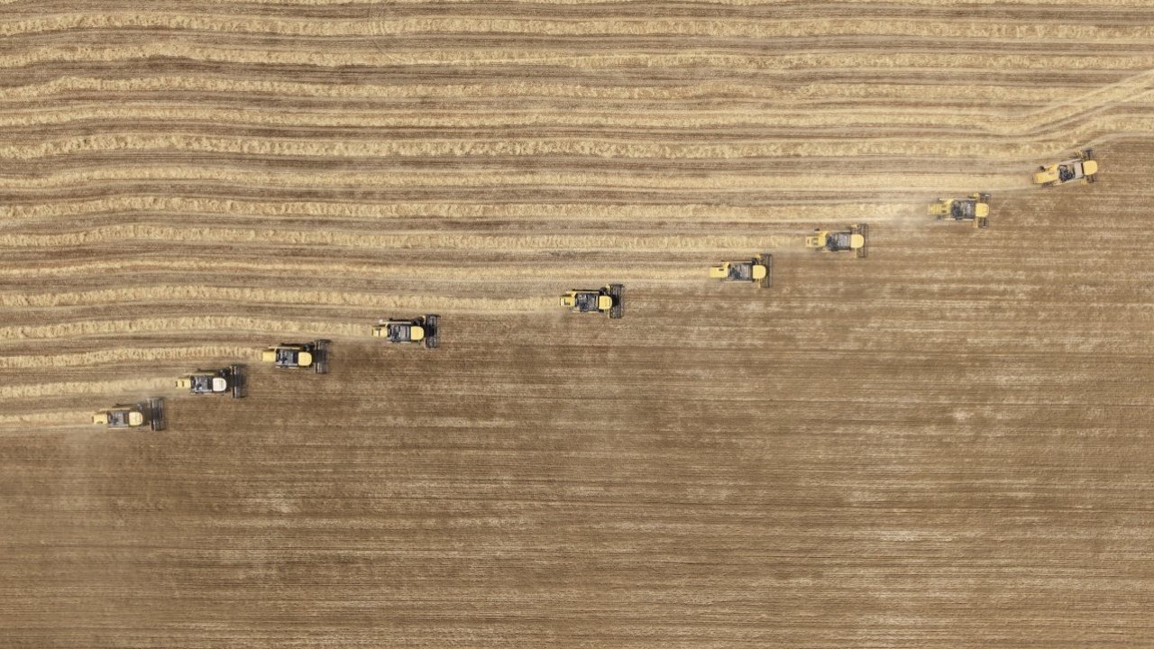 Malya Tarım İşletmesi&#039;nde sertifikalı tohum hasadı sürüyor