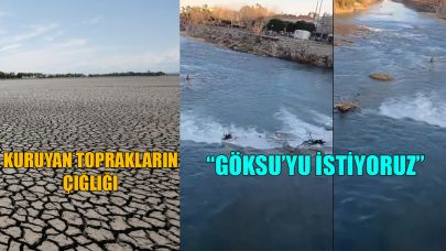 Kuruyan toprakların çığlığı: "Göksu'yu istiyoruz"