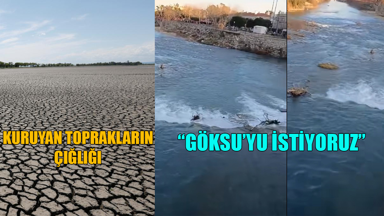 Kuruyan toprakların çığlığı: &quot;Göksu&#039;yu istiyoruz&quot;