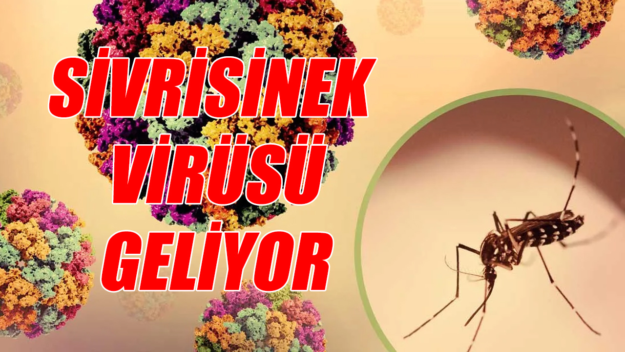 Sivrisinek virüsü geliyor