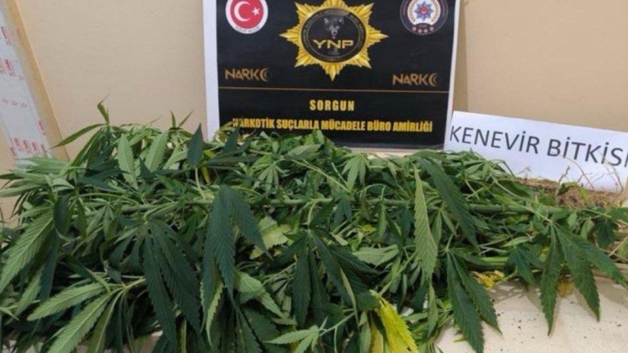 Yozgat&#039;ta uyuşturucu operasyonlarında 8 şüpheli yakalandı