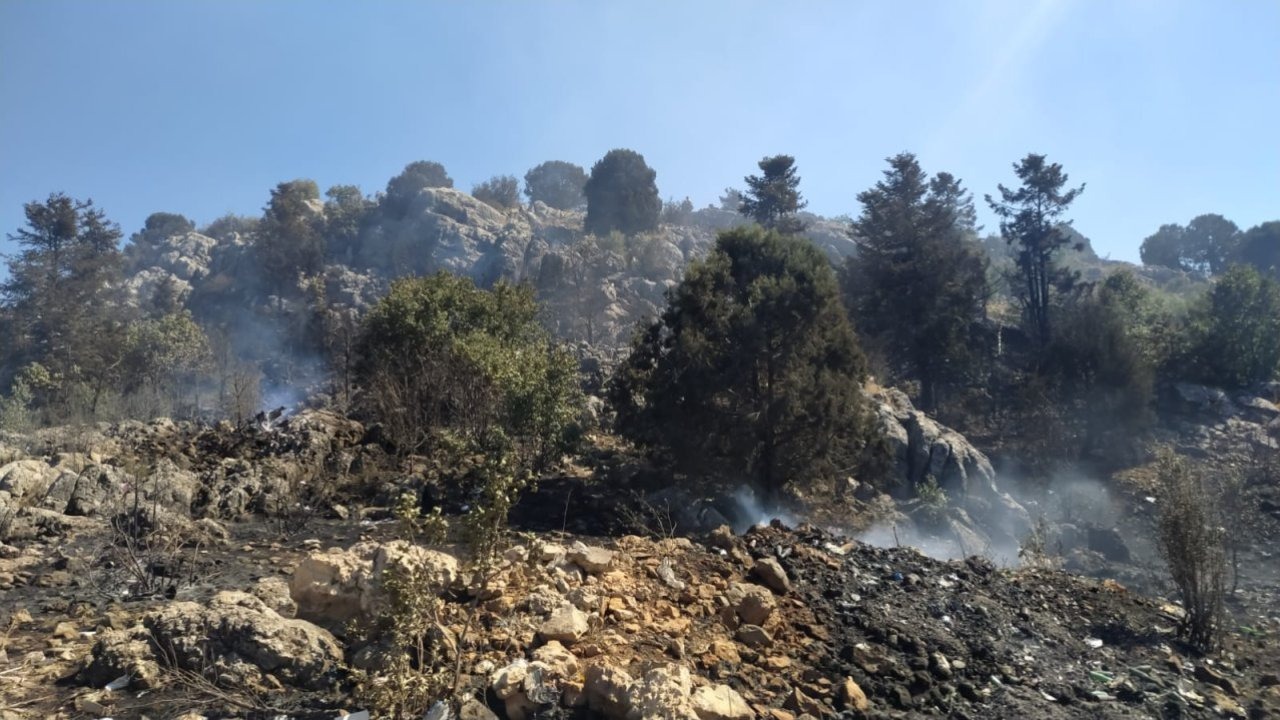 Konya&#039;da ormana sıçrayan yangın söndürüldü