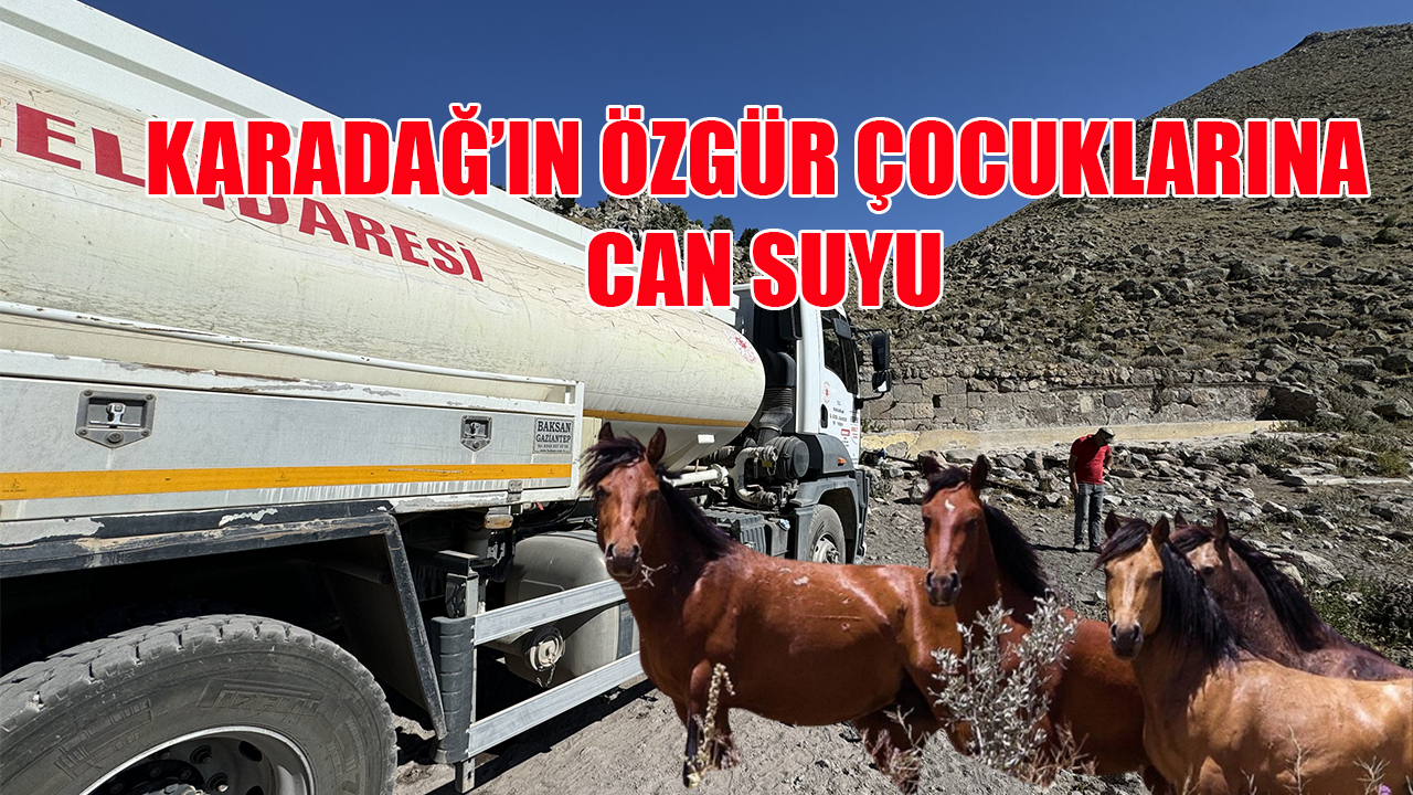 Karadağ&#039;ın özgür çocuklarına can suyu
