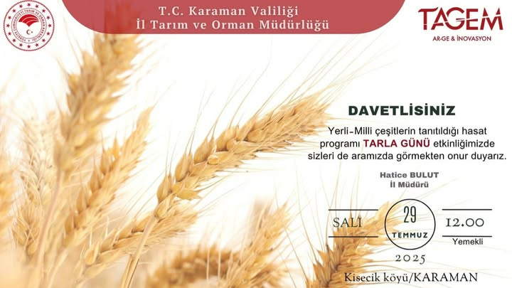 Yerli tohumlar Kisecik&#039;te sahaya çıkacak