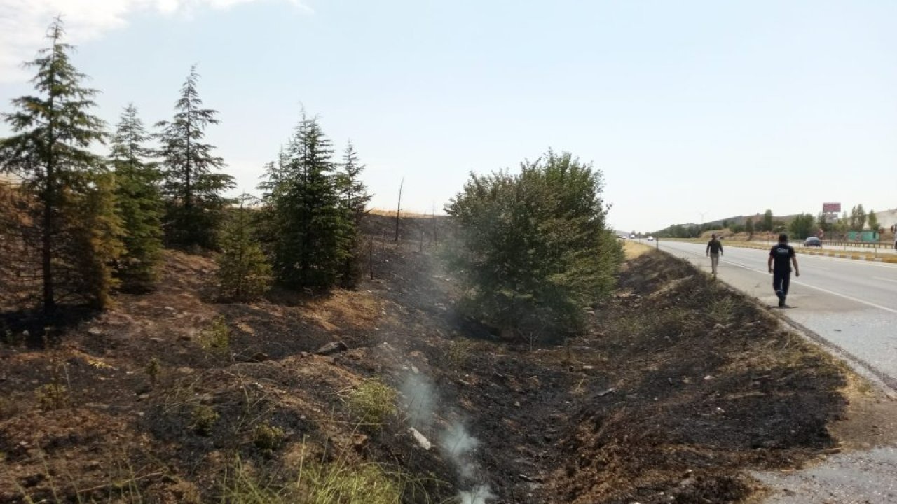Sarayönü&#039;nde çıkar yangında ağaçlar zarar gördü