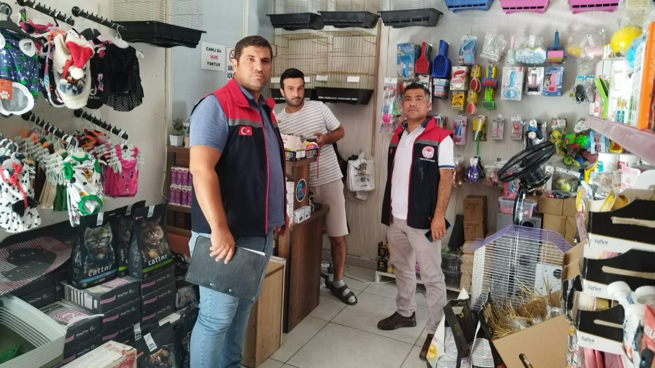 Karaman&#039;da Pet Shop&#039;lar mercek altında
