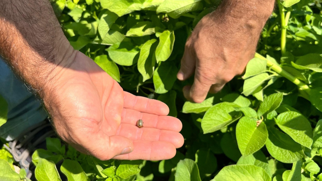 Karaman&#039;da sıkı denetim