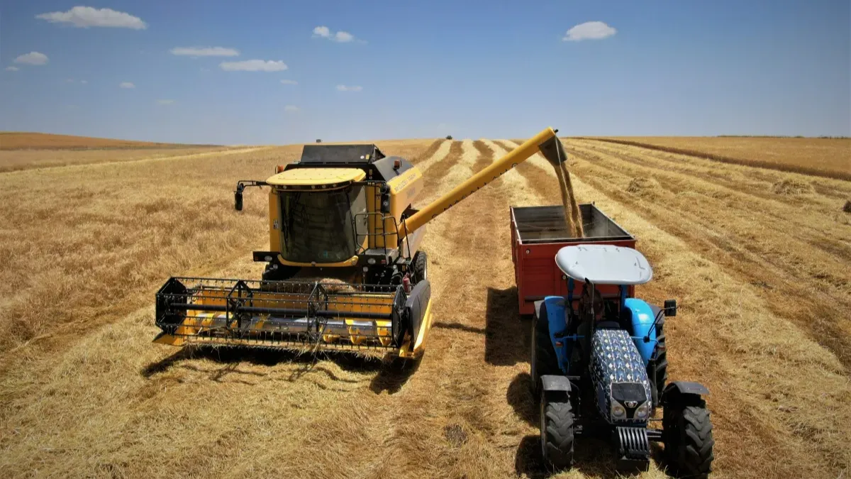 Ermenek&#039;te bereket zamanı