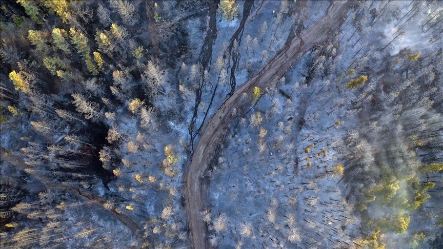 Orman yangınlarına karşı önerdi