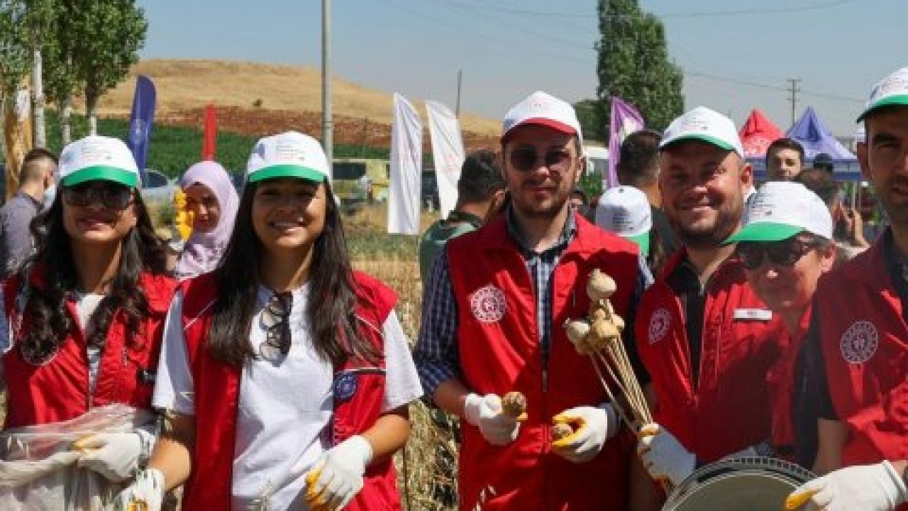 Gönüllü gençler hasat için tarım alanlarında