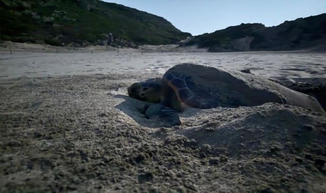 Akdeniz&#039;in incisi Patara eylem planı ile korunacak