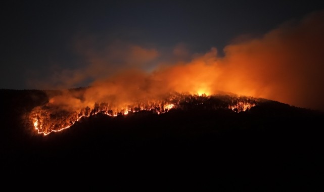 Çankırı&#039;da 4 gün önce yanan ormanlık alanda yeniden yangın çıktı