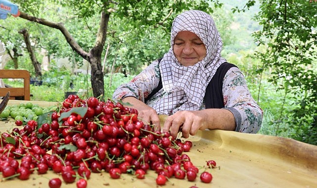 Çiftçi perişan oldu