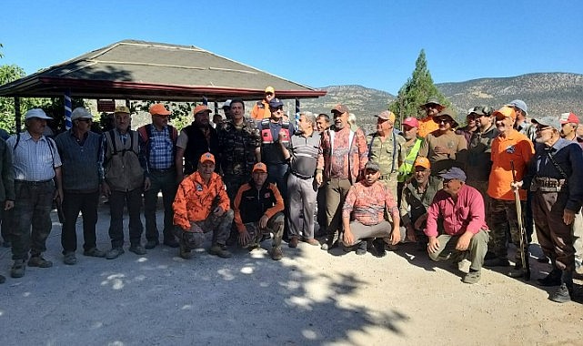 Domuzlar tarlalardan temizleniyor