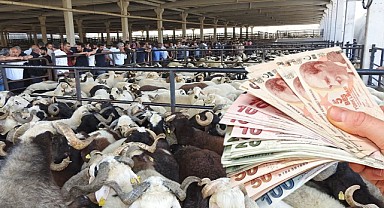 Hayvan Pazarları Kapatıldı! Et Fiyatları Artacak Mı? 
