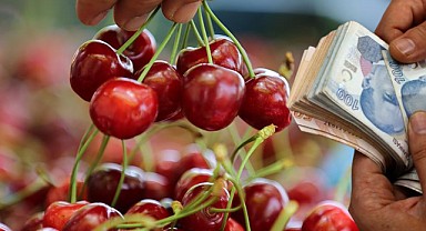 Kirazın Kilosu 1.000 TL’ye Çıktı! 