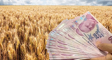 Tarım Bakanlığı’ndan 1,63 Milyar TL Hububat Desteği!