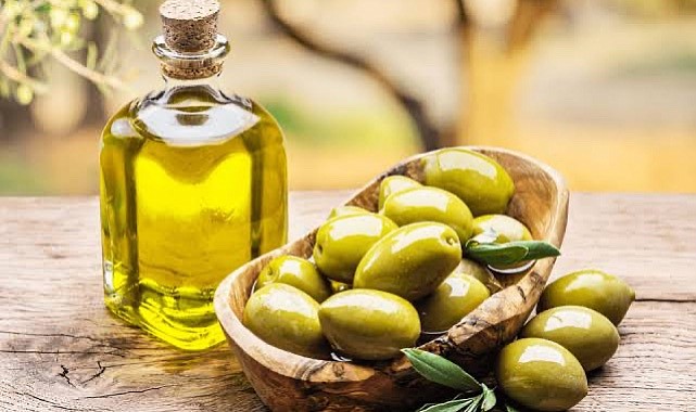 Zeytinyağı Fiyatları Yarı Yarıya Düştü!