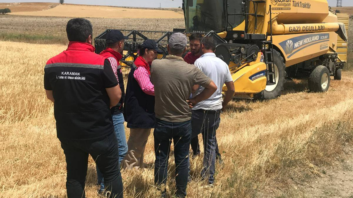 Yangına değil toprağa hayat verin