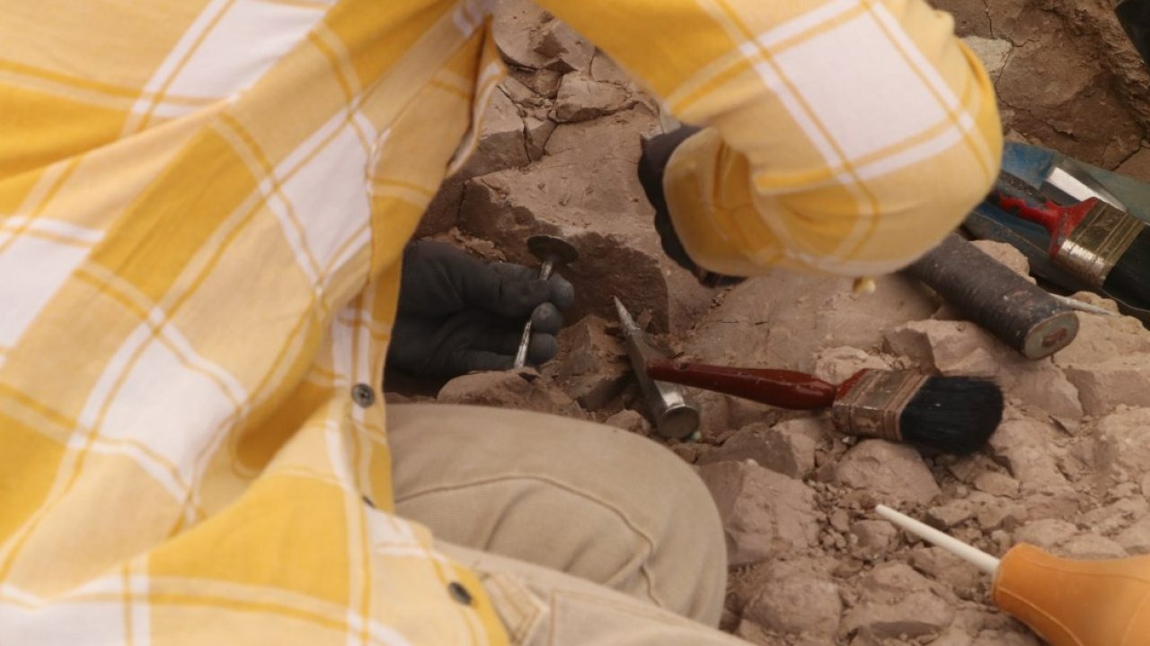 Kavurucu sıcaklarda 9 milyon yıllık fosillerin izini sürüyorlar