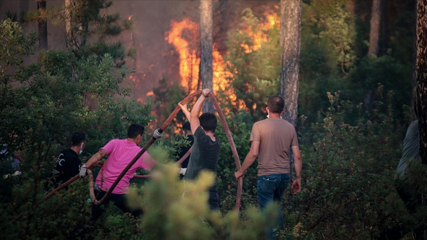 Vatandaşlar &quot;Yeşil Vatan için biz de hazırız&quot; mesajıyla CİMER&#039;e başvurdu