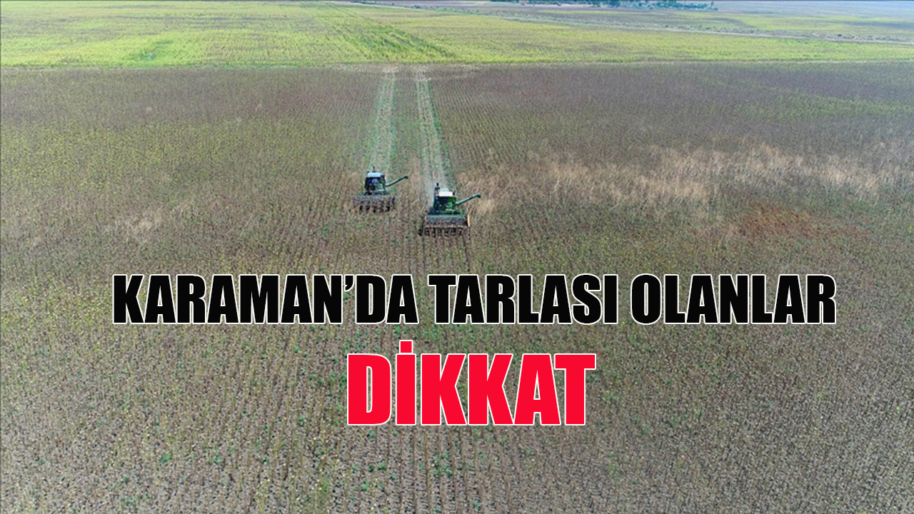 Tarlanı ekmiyorsan kiracı geliyor