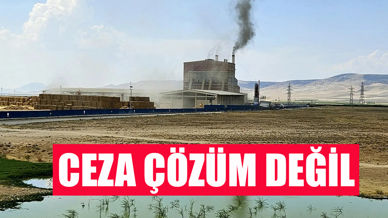 Ceza çözüm değil