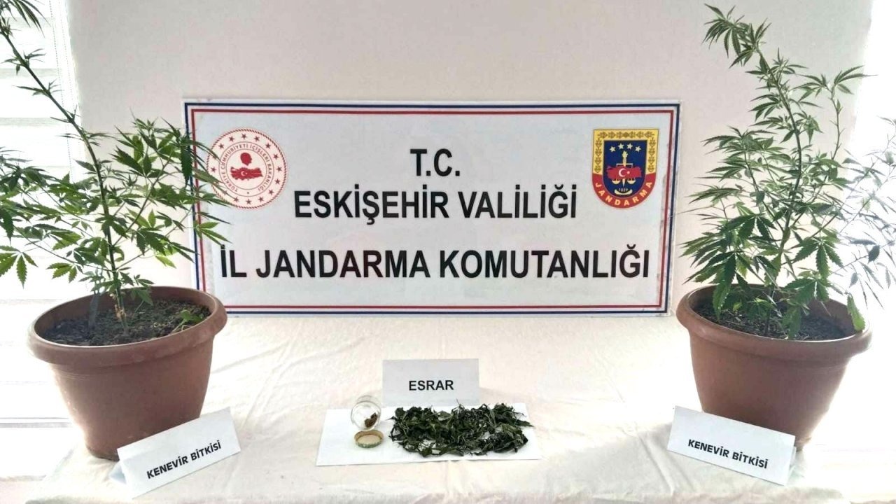 Eskişehir&#039;de evinin balkonunda Hint keneviri yetiştirdiği iddia edilen şüpheli yakalandı