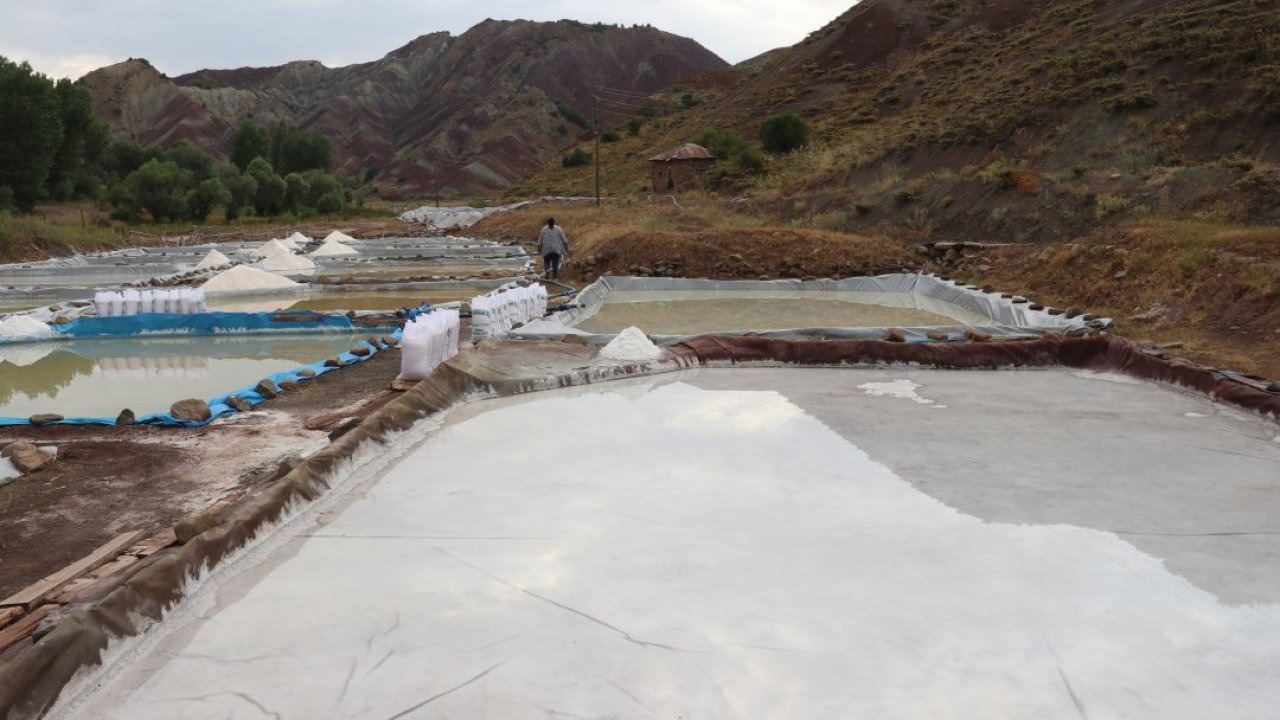 Sivas&#039;ın &quot;esmer tuzu&quot; Japonya&#039;da yemeklere lezzet katıyor