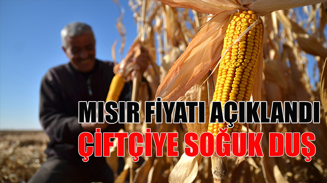 Mısır fiyatı açıklandı