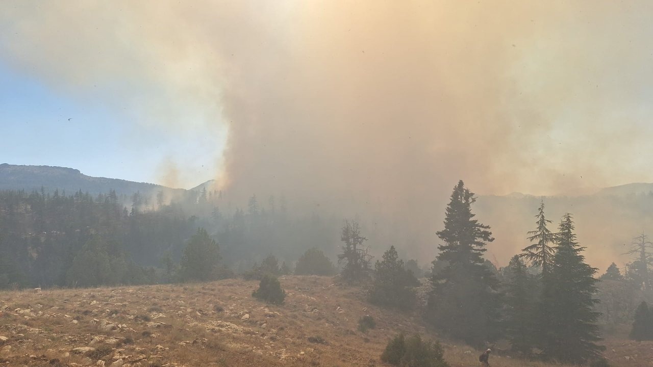 GÜNCELLEME - Karaman&#039;da ormanlık alanda çıkan yangınlara müdahale sürüyor