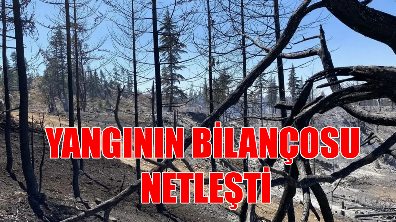 Yangının bilançosu netleşti