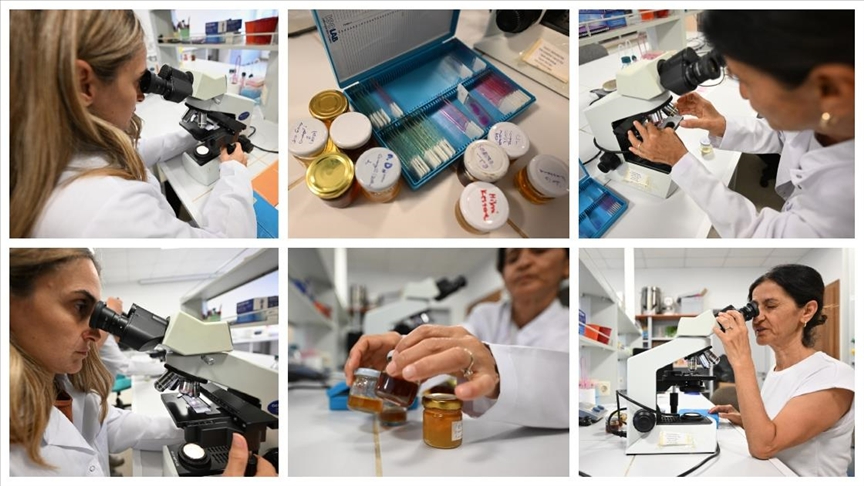 İklim değişikliği kestane balını da vurdu