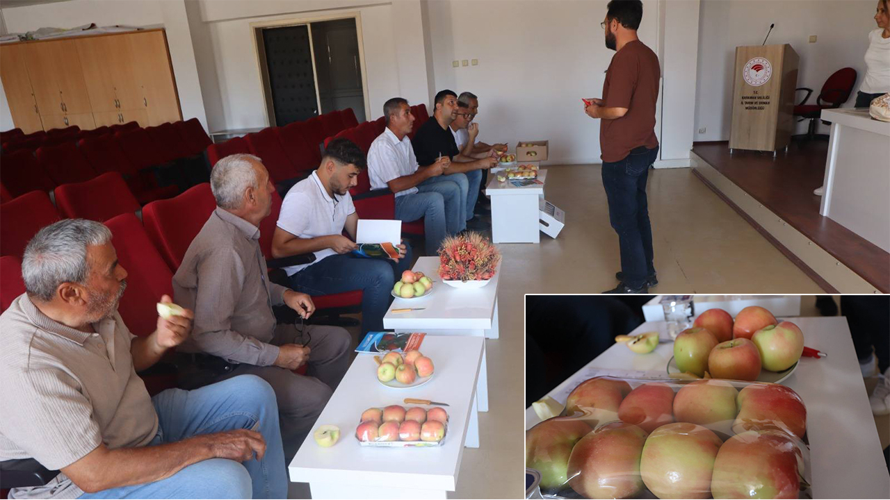 Karaman’da yeni elma tatları denendi
