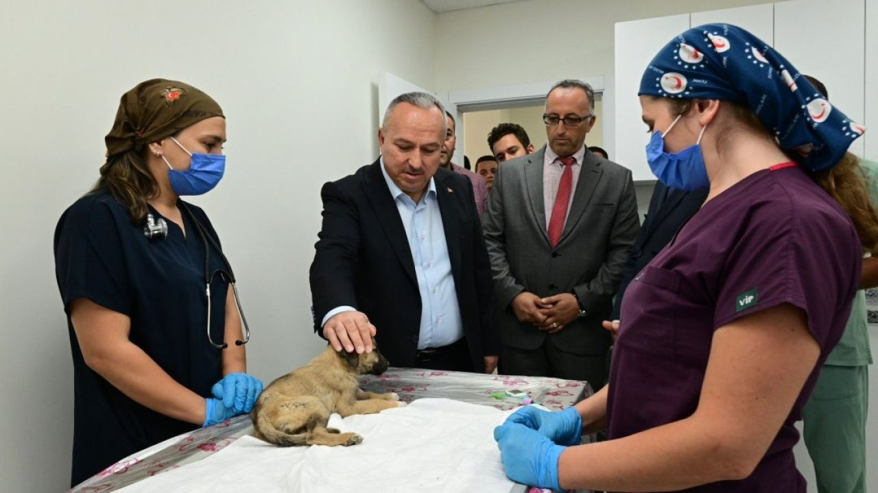 Nevşehir Valisi Fidan&#039;dan hayvan bakımevine ziyaret