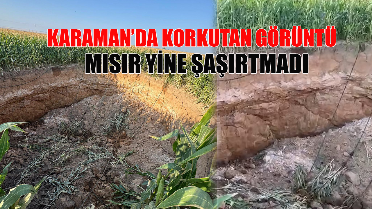 Karaman’da korkutan görüntü