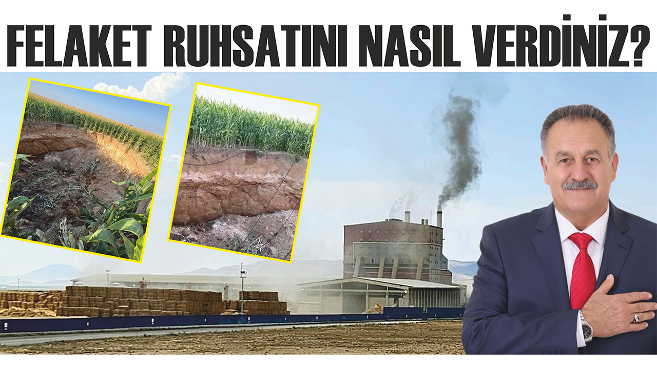 Felaket ruhsatını nasıl verdiniz?